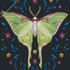 Luna Moth Diamond Paintings