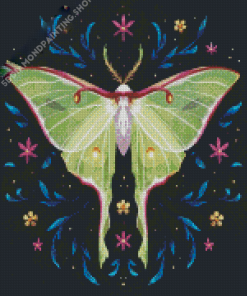 Luna Moth Diamond Paintings