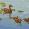 Mallard Duck And Babies Diamond Paintings