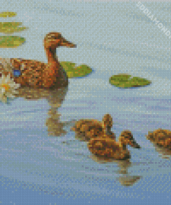 Mallard Duck And Babies Diamond Paintings