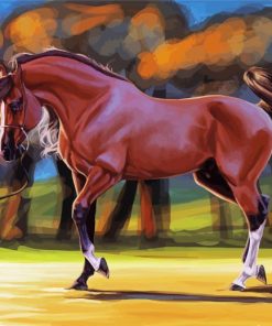 Mare Horse Art Diamond Paintings