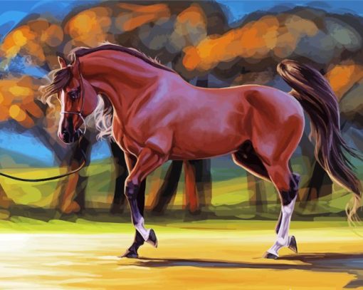 Mare Horse Art Diamond Paintings