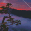 Misty Sunrise Forest Diamond Painting