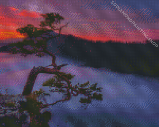 Misty Sunrise Forest Diamond Painting