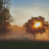 Misty Sunrise Trees Silhouette Diamond Painting