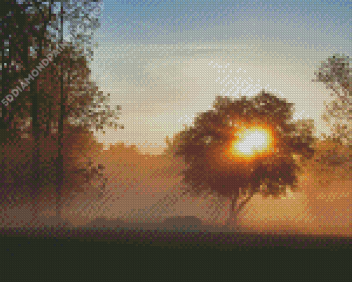 Misty Sunrise Trees Silhouette Diamond Painting