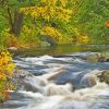 Muskoka River Canada Diamond Paintings