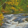 Muskoka River Canada Diamond Paintings