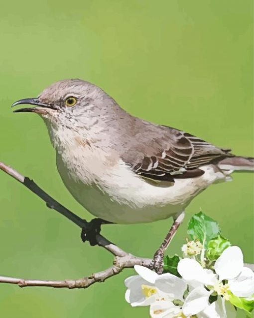 Oklahoma Flycatcher On Flowering Tree Diamond Paintings