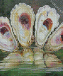 Oyster Shells Diamond Painting