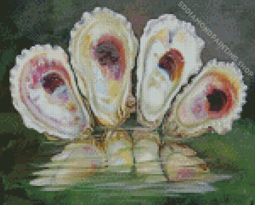 Oyster Shells Diamond Painting