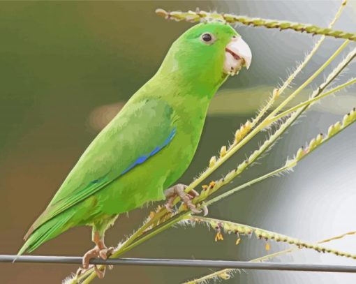 Parrotlet On Stick Diamond Paintings