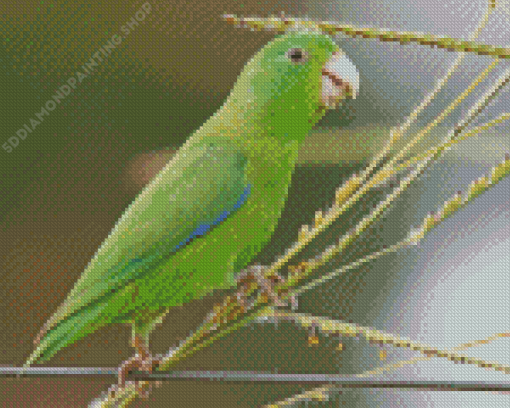 Parrotlet On Stick Diamond Paintings