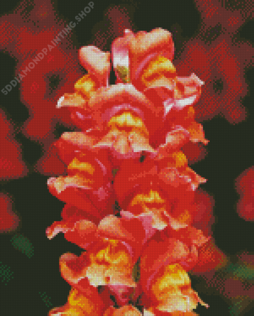 Peachy Snapdragons Diamond Paintings