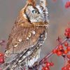 Red Eastern Screech Owl Diamond Paintings