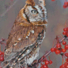 Red Eastern Screech Owl Diamond Paintings