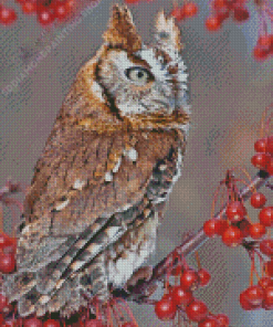 Red Eastern Screech Owl Diamond Paintings