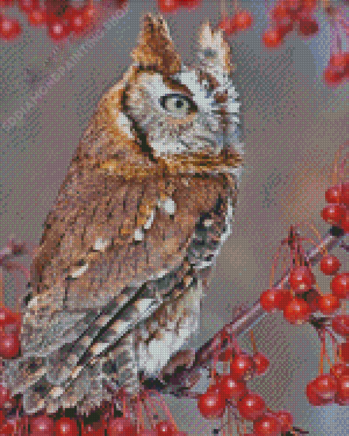 Red Eastern Screech Owl Diamond Paintings