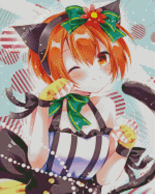 Rin Hoshizora Love Live Anime Diamond Paintings