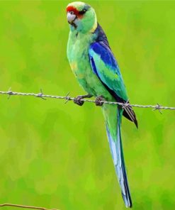 Ring Neck Bird Diamond Paintings