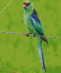 Ring Neck Bird Diamond Paintings