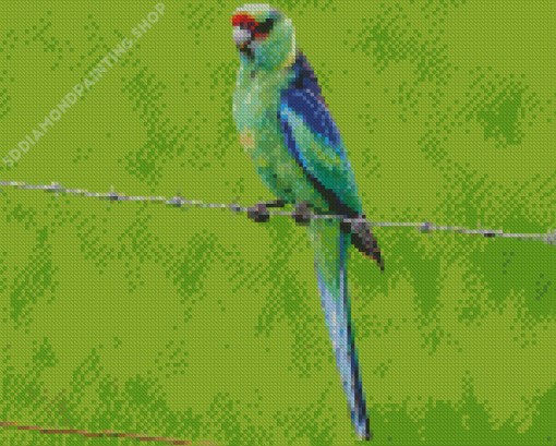 Ring Neck Bird Diamond Paintings