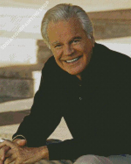 Robert Wagner Actor Diamond Painting