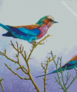 Roller Birds On Tree Diamond Painting