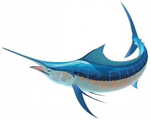 Sailfish Art Diamond Paintings