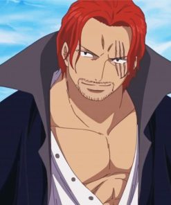 Shanks One Piece Anime Diamond Paintings