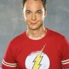 Sheldon Cooper Character Diamond Paintings