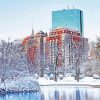 Snow Winter Boston Diamond Paintings