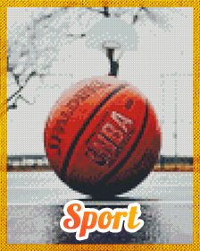 Sport