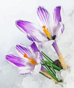 Spring Flower In Snow Diamond Painting