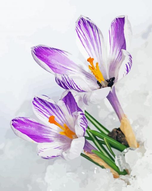 Spring Flower In Snow Diamond Painting