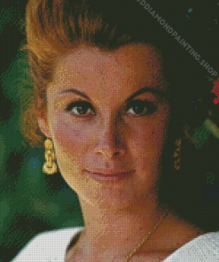 Stefanie Powers Actress Diamond Painting