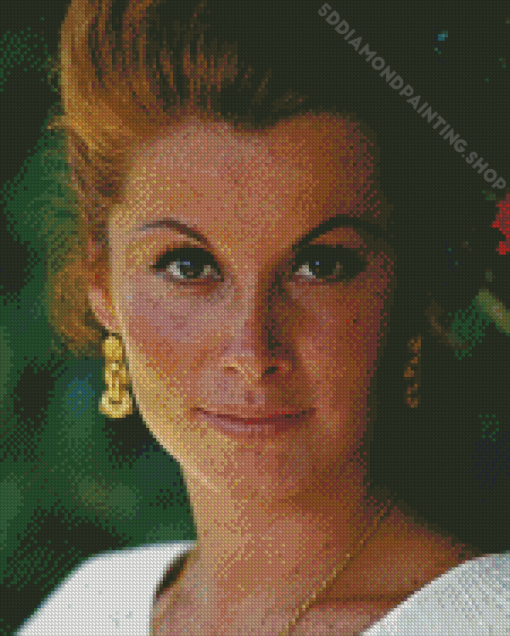 Stefanie Powers Actress Diamond Painting