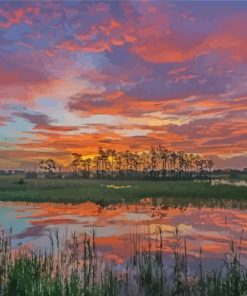 Sunset At Big Cypress Preserve Diamond Paintings