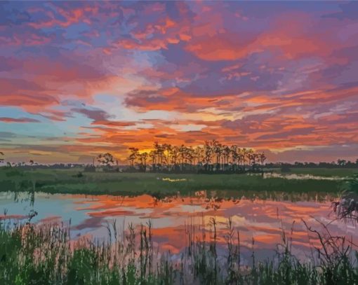 Sunset At Big Cypress Preserve Diamond Paintings