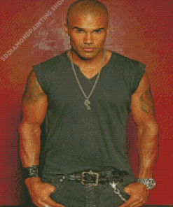 The American Shemar Moore Diamond Paintings