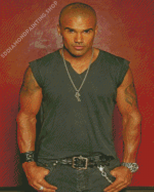 The American Shemar Moore Diamond Paintings