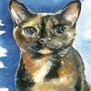 Tortoise Shell Cat Diamond Paintings