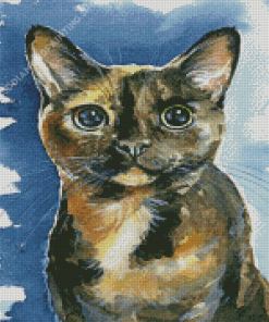 Tortoise Shell Cat Diamond Paintings