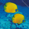 Two Blue And Yellow Fish Underwater Diamond Paintings