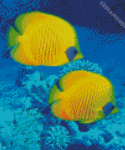 Two Blue And Yellow Fish Underwater Diamond Paintings