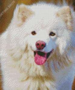 White Finnish Lapphund Diamond Paintings