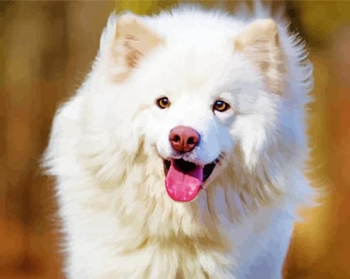 White Finnish Lapphund Diamond Paintings