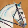 White Lusitano Horse Head Diamond Paintings