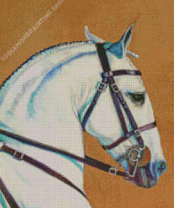 White Lusitano Horse Head Diamond Paintings