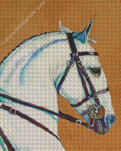 White Lusitano Horse Head Diamond Paintings